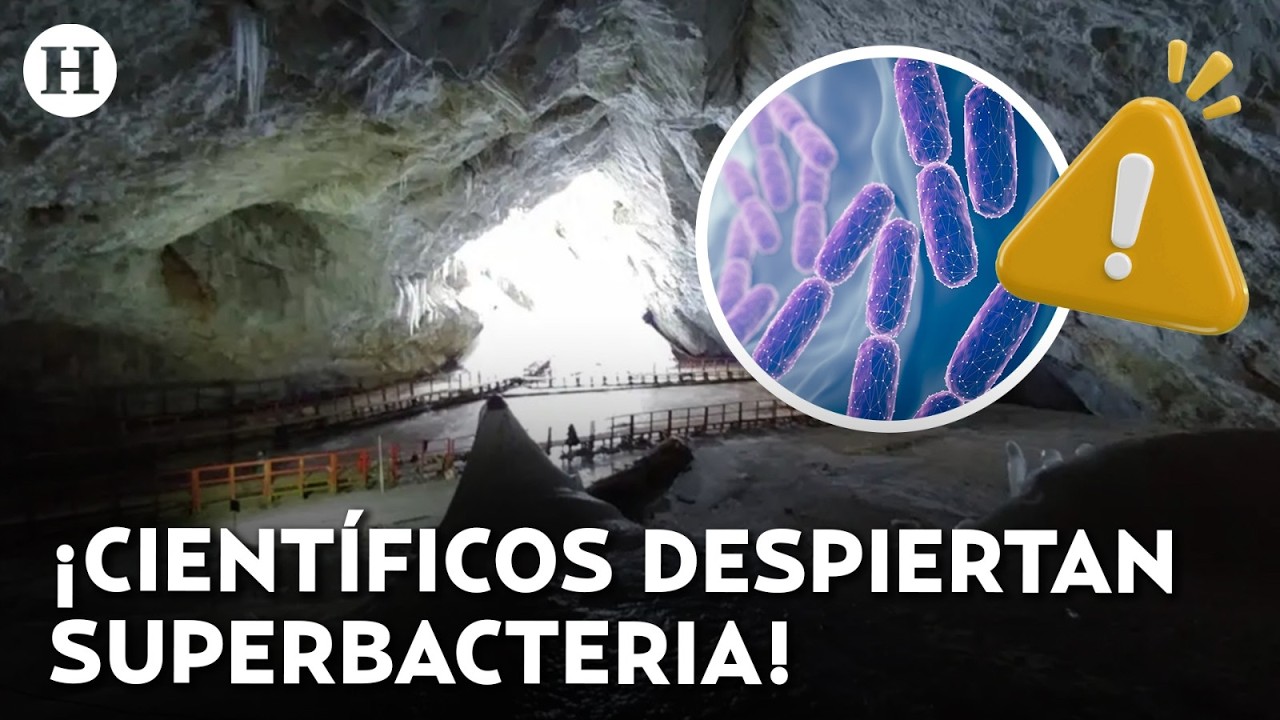 ¡Una amenaza del pasado! Científicos descubren bacteria de 5 mil años resistente a antibióticos