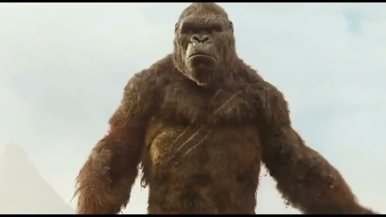 Evolution of Kong`s chest beating