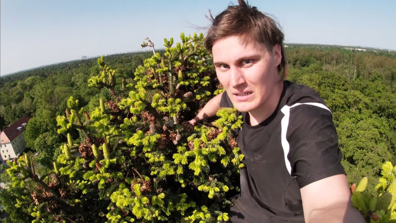 🙏💥MASSIV TREE FREE SOLO Grünwald Munich💥🙏