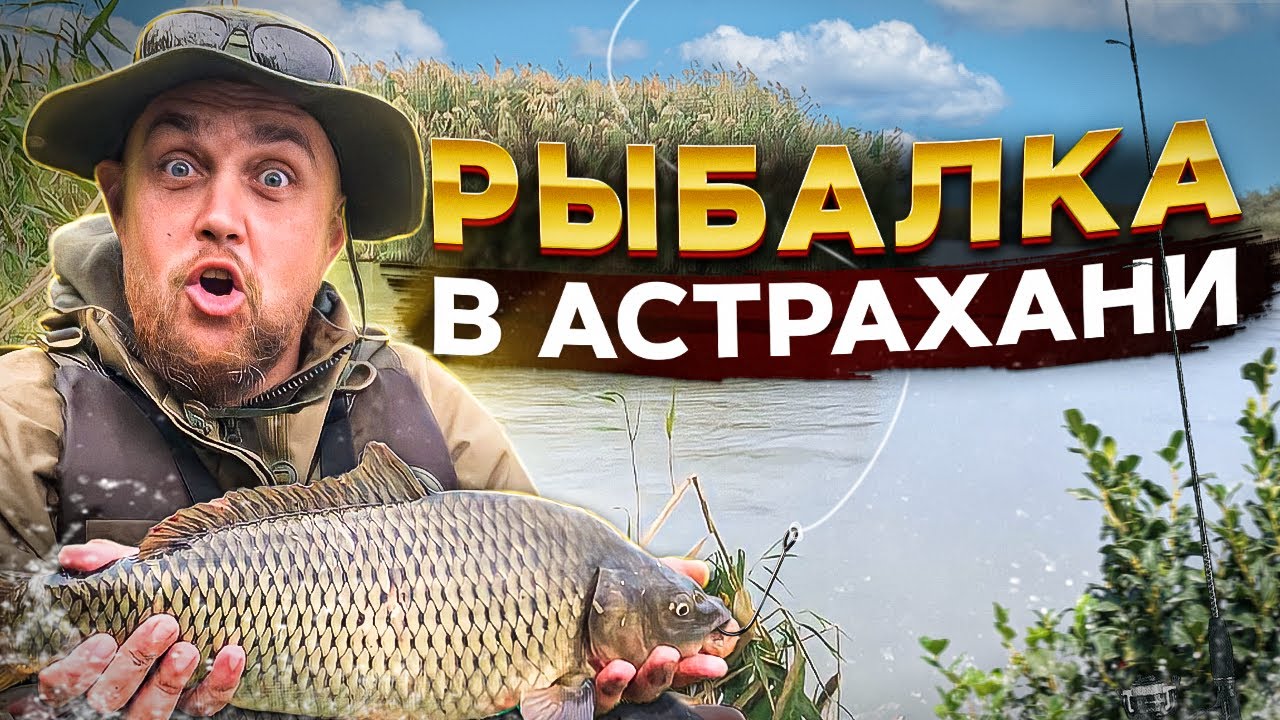 БЕШЕНЫЕ САЗАНЫ УТАСКИВАЮТ УДОЧКИ ТРИ ДНЯ РЫБАЛКИ В АСТРАХАНИ