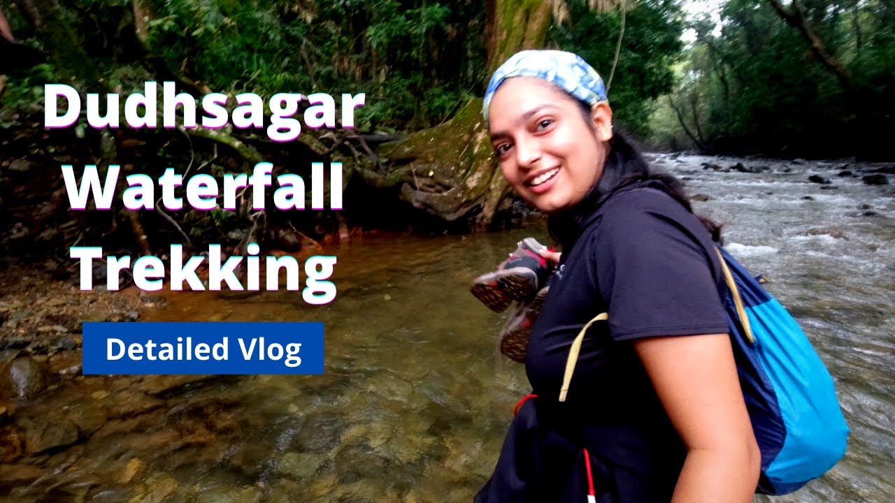 Dudhsagar Waterfall Trek during Monsoon | river crossing in forest, Beautiful experience 😍 South Goa