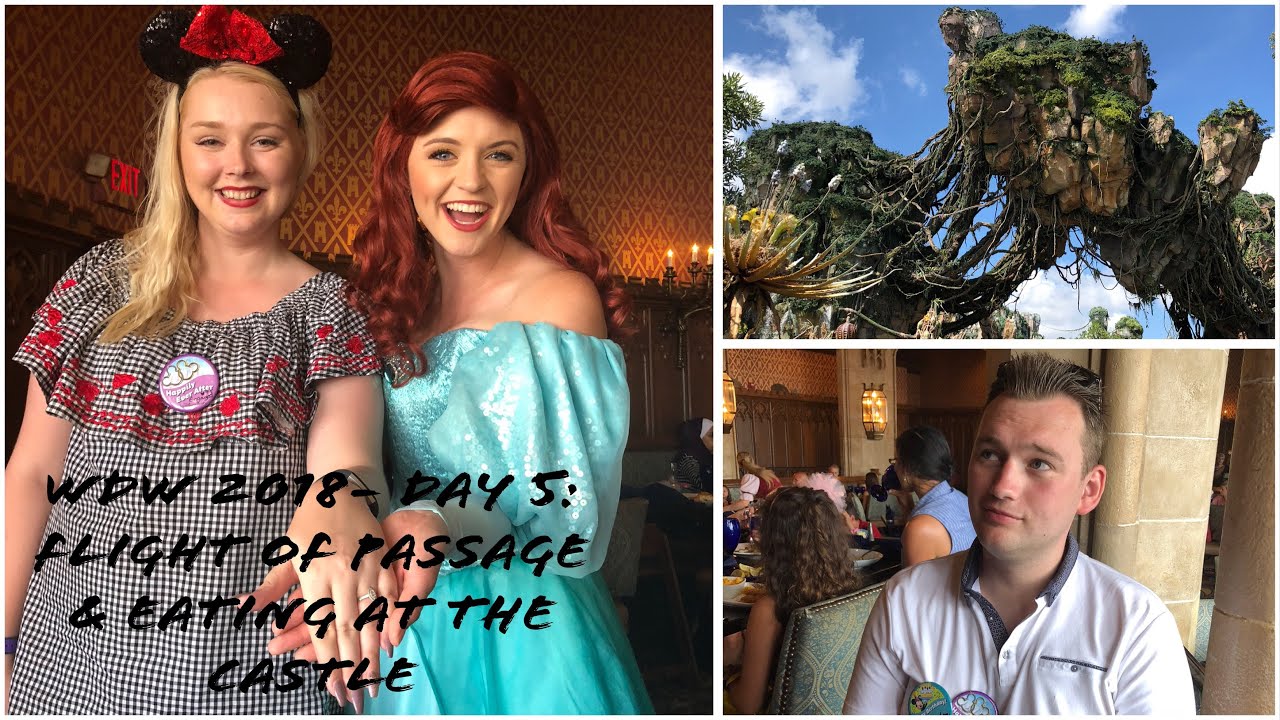 WALT DISNEY WORLD SEPTEMBER 2018- DAY 5 ANIMAL KINGDOM AND EATING IN THE CASTLE