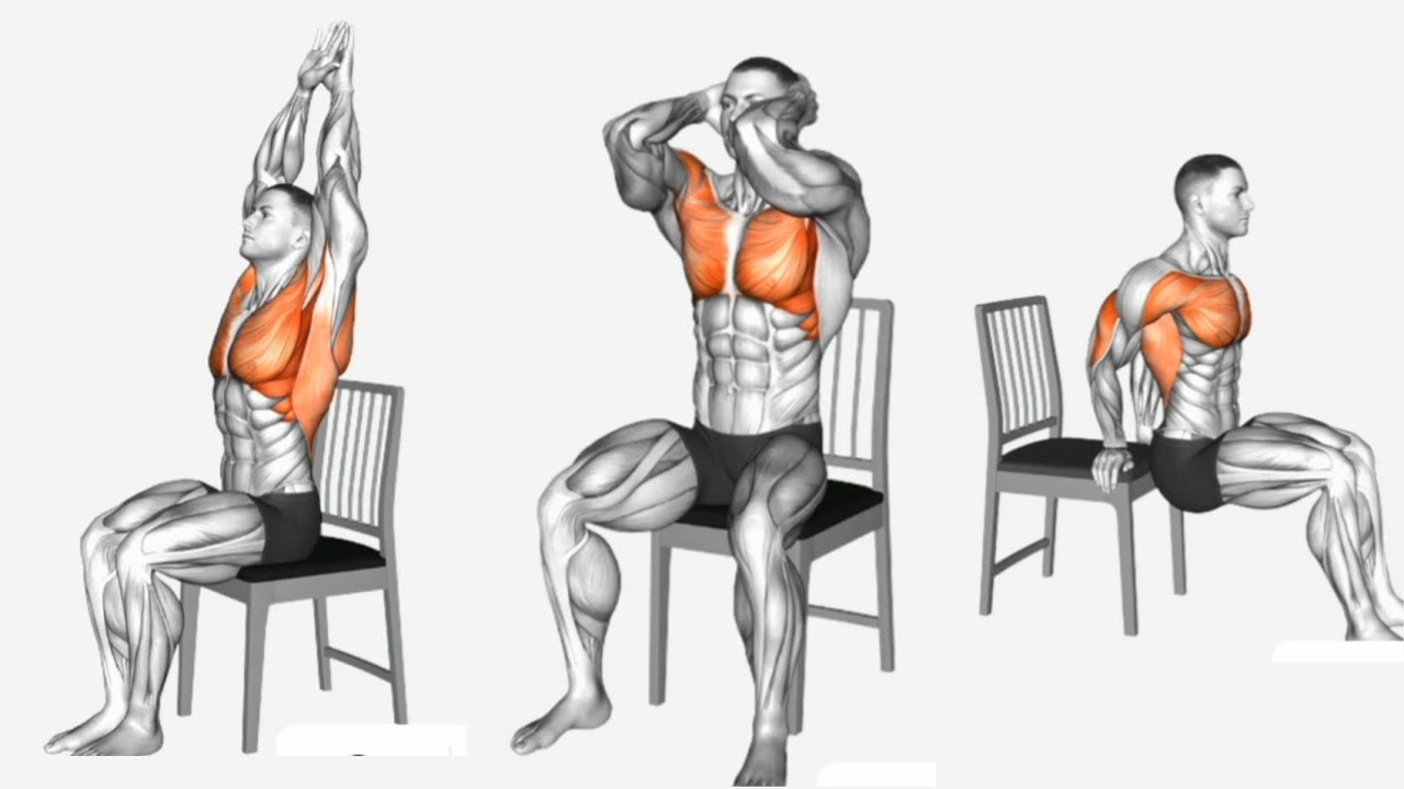 Top 8 Best Chest Exercises for a Bigger, Stronger Chest for Beginners