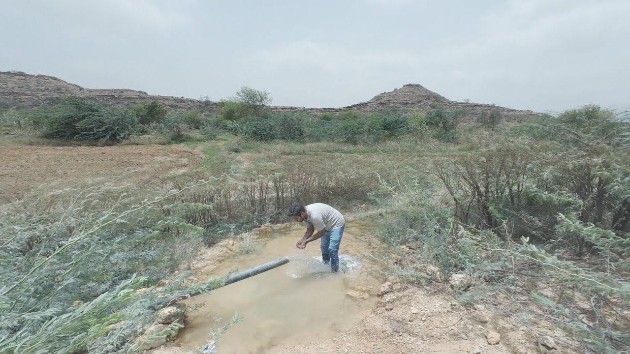 Karachi Sheher Men ek esi jagha Jahan Sabzi Aur Phal Ugte hain