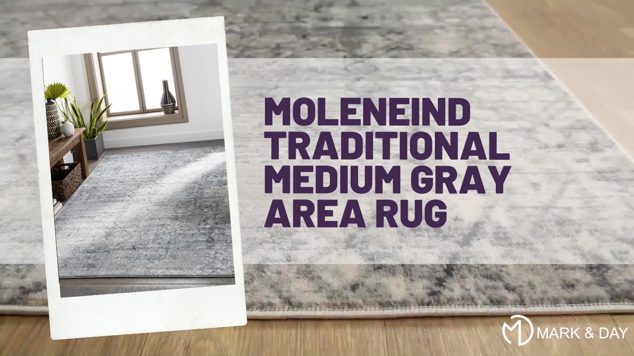 Moleneind Traditional Medium Gray Area Rug
