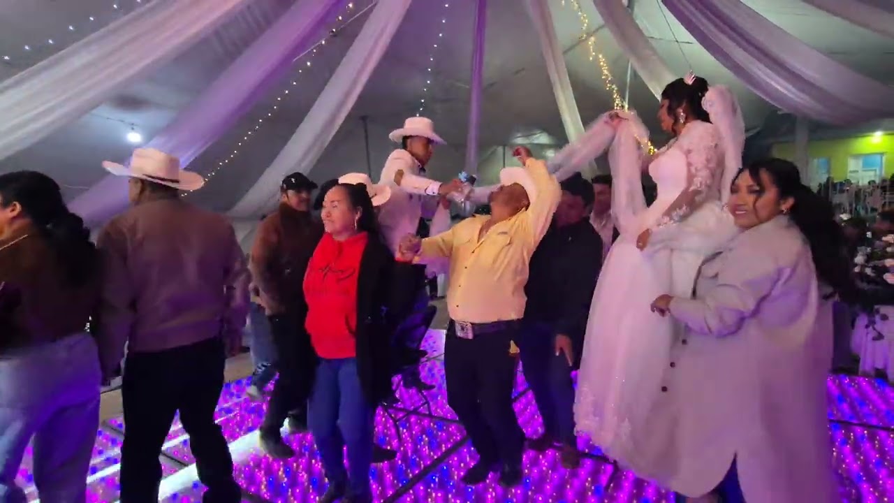 Vivora de la mar  con la  familia de lla casa 