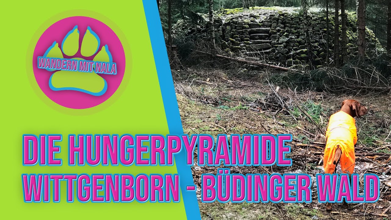 Die Hungerpyramide - Wittgenborn - Büdinger Wald - Spessart - Wandern mit Hund 🐕