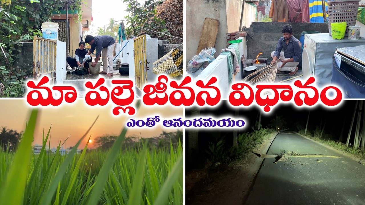 ఒక్కసారిగా ఇంత గాలి ధుమారమా / నేను మా పెరట్లో మొక్కలకి నీళ్ళు పోసా ,నేను వెళ్ళిన ప్లేస్ చూస్తే వావ్