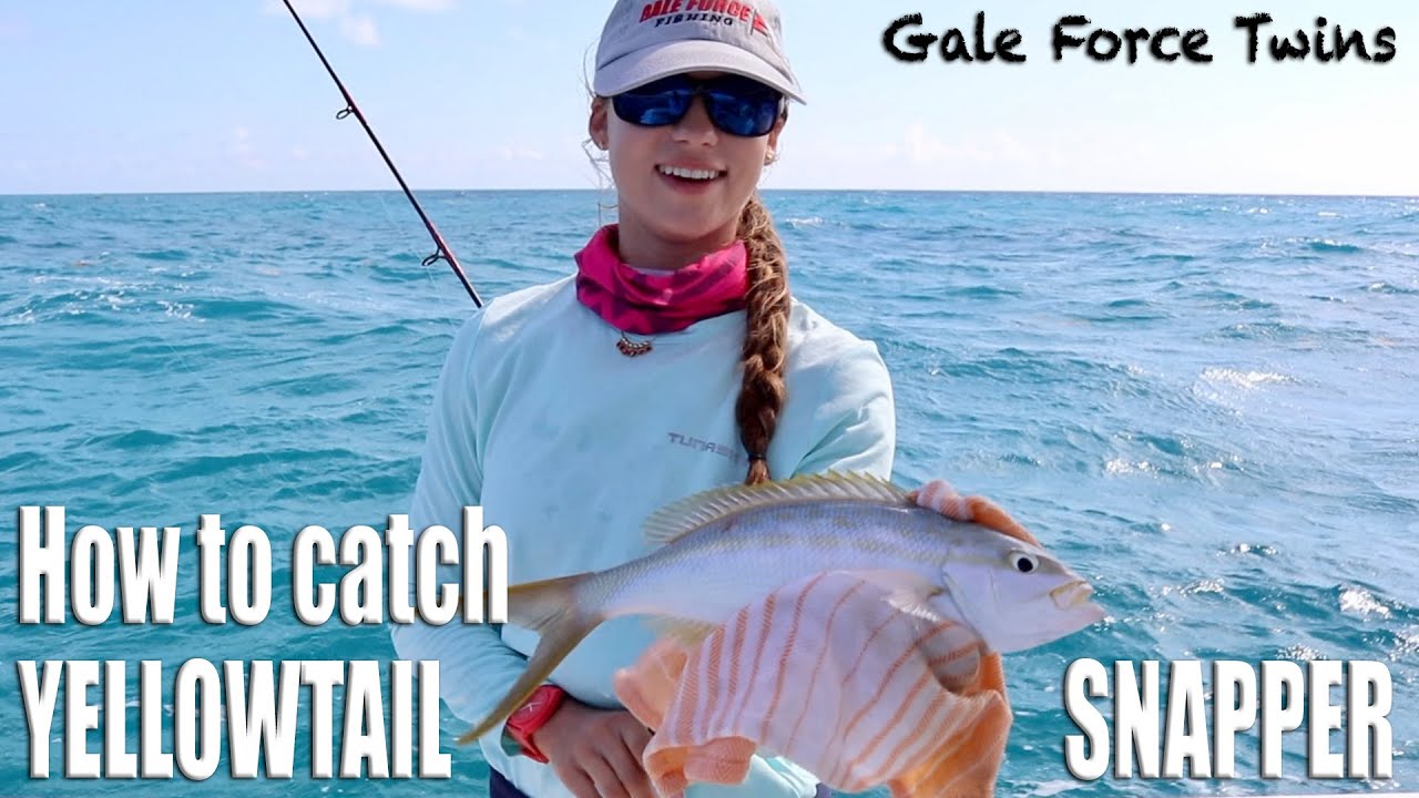 LEARN TO YELLOWTAIL IN UNDER 3 MINUTES! How to catch snapper at patch reefs | Gale Force Twins