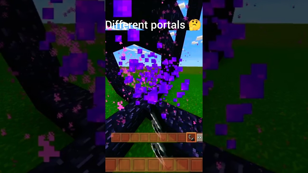 different portals 🤔#minecraft #shorts