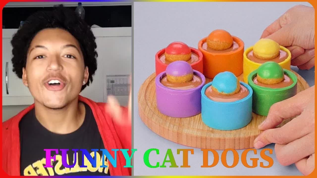 1 Hora Das melhores fofocas do @Romulo.h - Compilado de TikTok #3