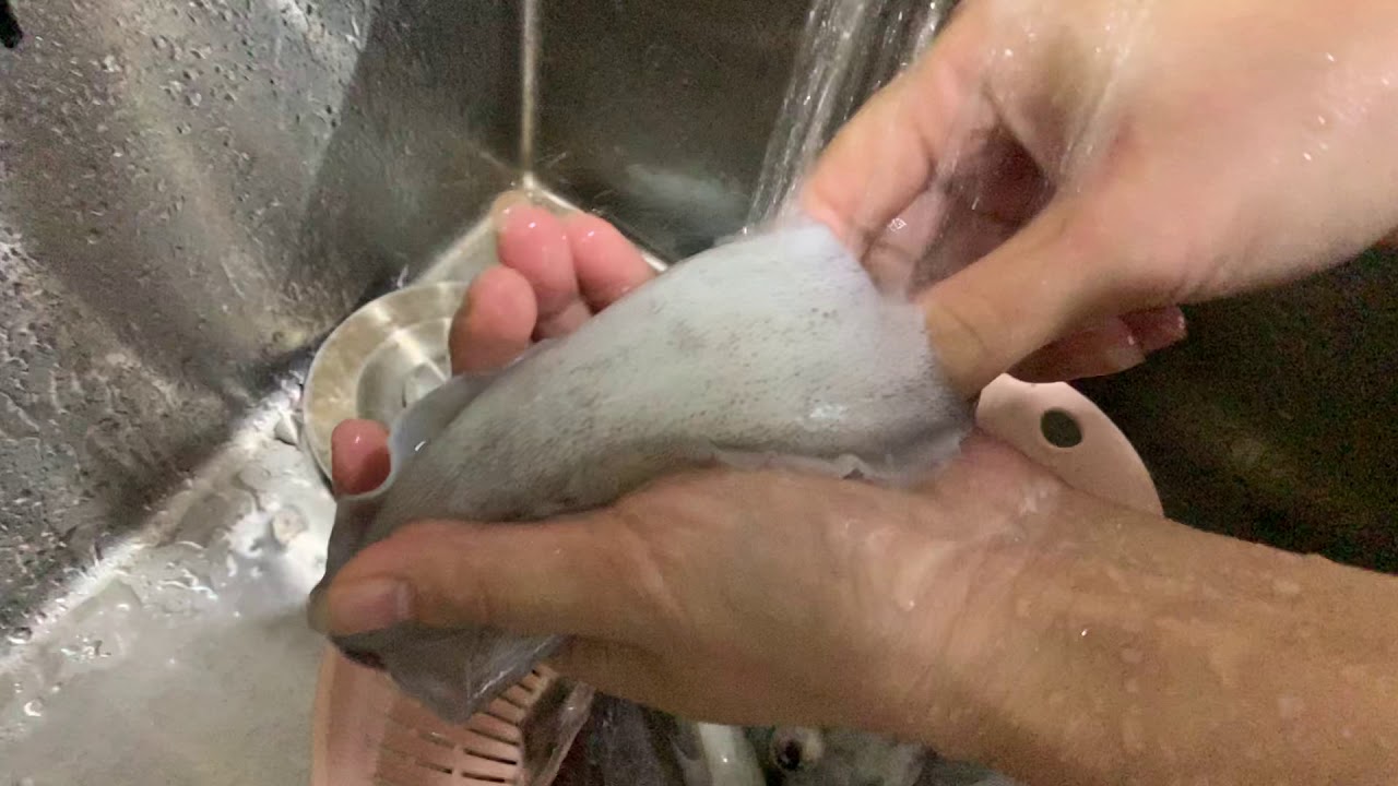 L&Agrave;M SẠCH MỰC L&Aacute;