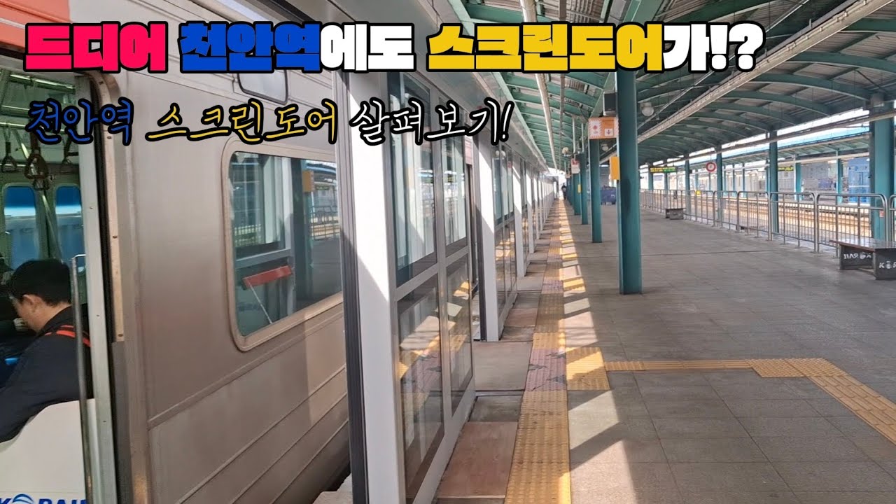 드디어 천안역에도 스크린도어가!? 스크린도어 공사가 막바지에 접어든 천안역 스크린도어 살펴보기!