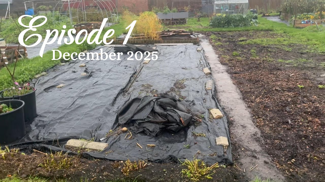 Episode 1 - Join me on the first few visits to my new allotment plot