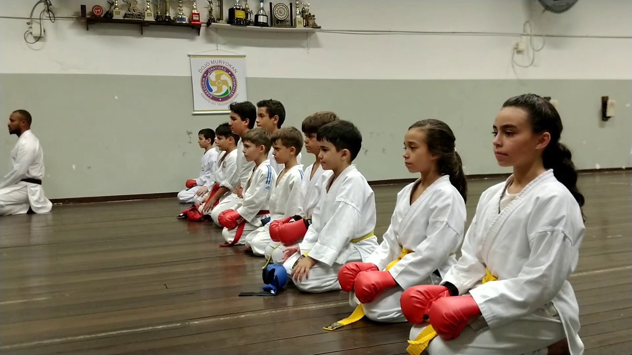 Karate-Do Tridimensional. Budo.