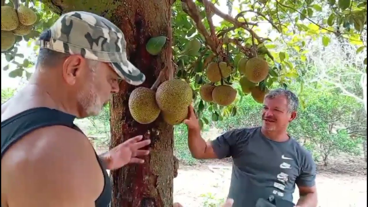Hoje recebi uma visita especial do meu inscrito do canal 