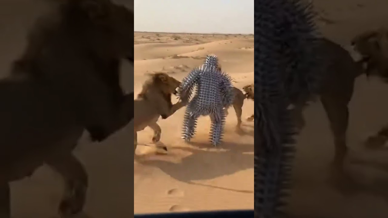 Real Life Gladiator! Lion Attack Survival in Spiked Armor ⚔️🔥