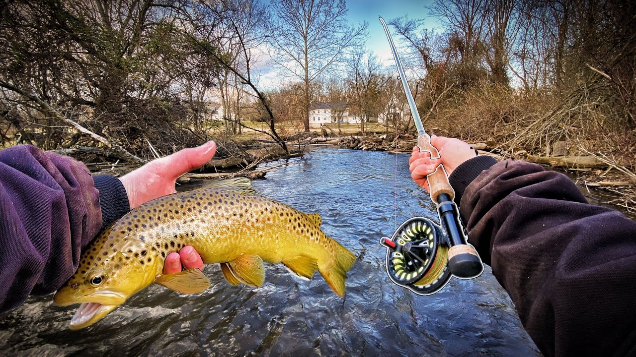 BIG FISH Live in This TINY Creek! (Winter Fly Fishing for Wild Brown Trout)