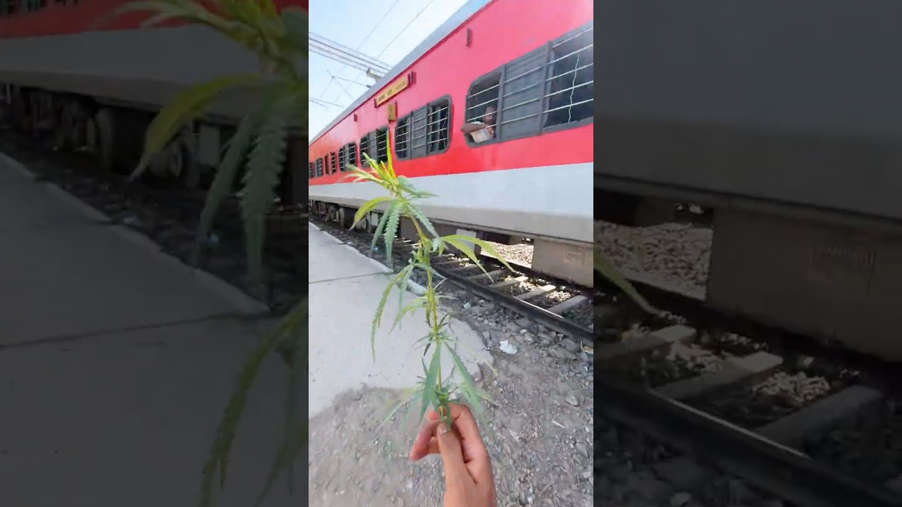 Kerala samprak kranthi / spiti valley trip 02  #kerala #youtubeshorts #travel