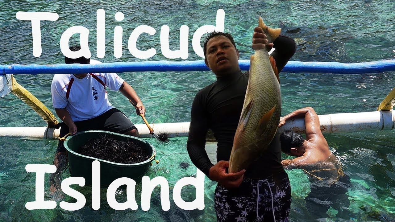 Talicud Island, Philippines | A Short Travel Film