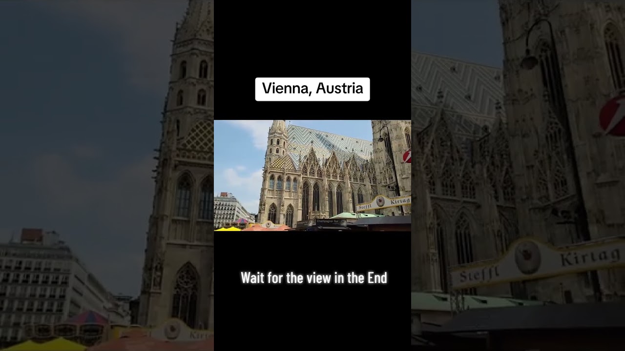 This Is One of the Most Beautiful Places in Vienna 🇦🇹😍