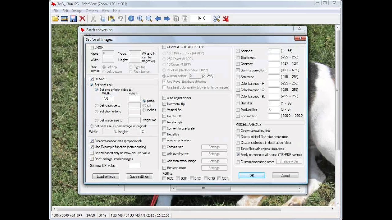 IRFANVIEW - free program to batch process and resize images or pictures