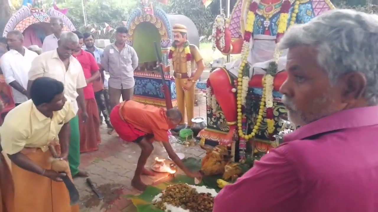 புதிதாக கட்டப்பட்ட 🙏அக்னி வீரன் கோவிலில் 🙏 முப்பூசை 🐓🐷🐐 படையல் - சின்னகண்டிங்குப்பம்