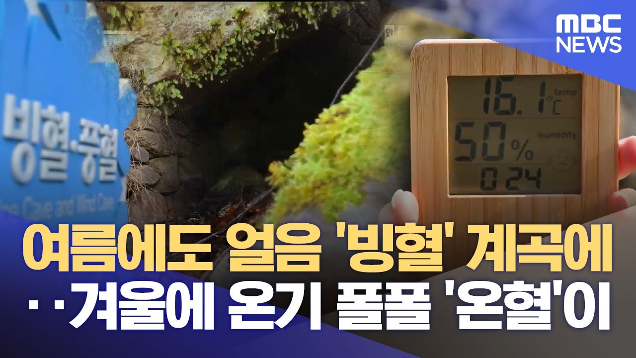 따뜻한 김 뿜는 '온혈' 발견‥ 의성 빙계계곡 미스터리 (2026.03.05/뉴스데스크/안동MBC)