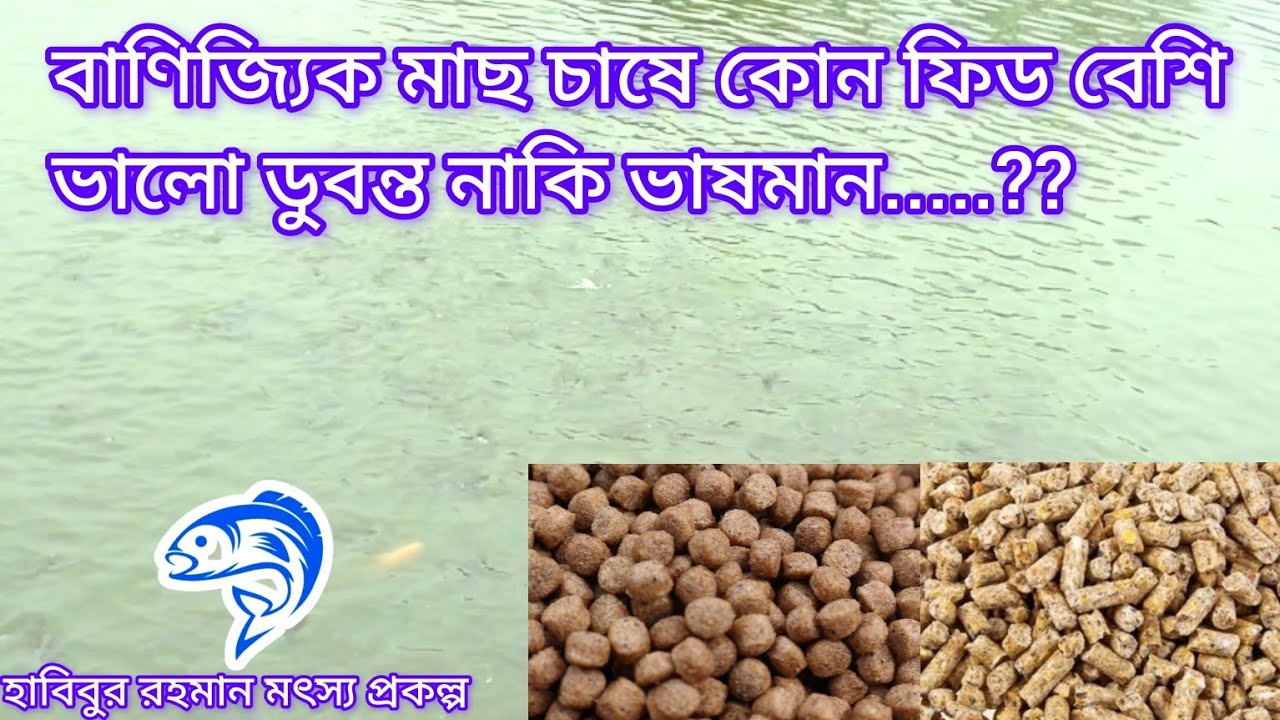 ১০৩.. বানিজ্যিক মাছ চাষে কোন ফিড বেশি ভালো ডুবন্ত ফিড  নাকি ভাষমান ফিড.....?