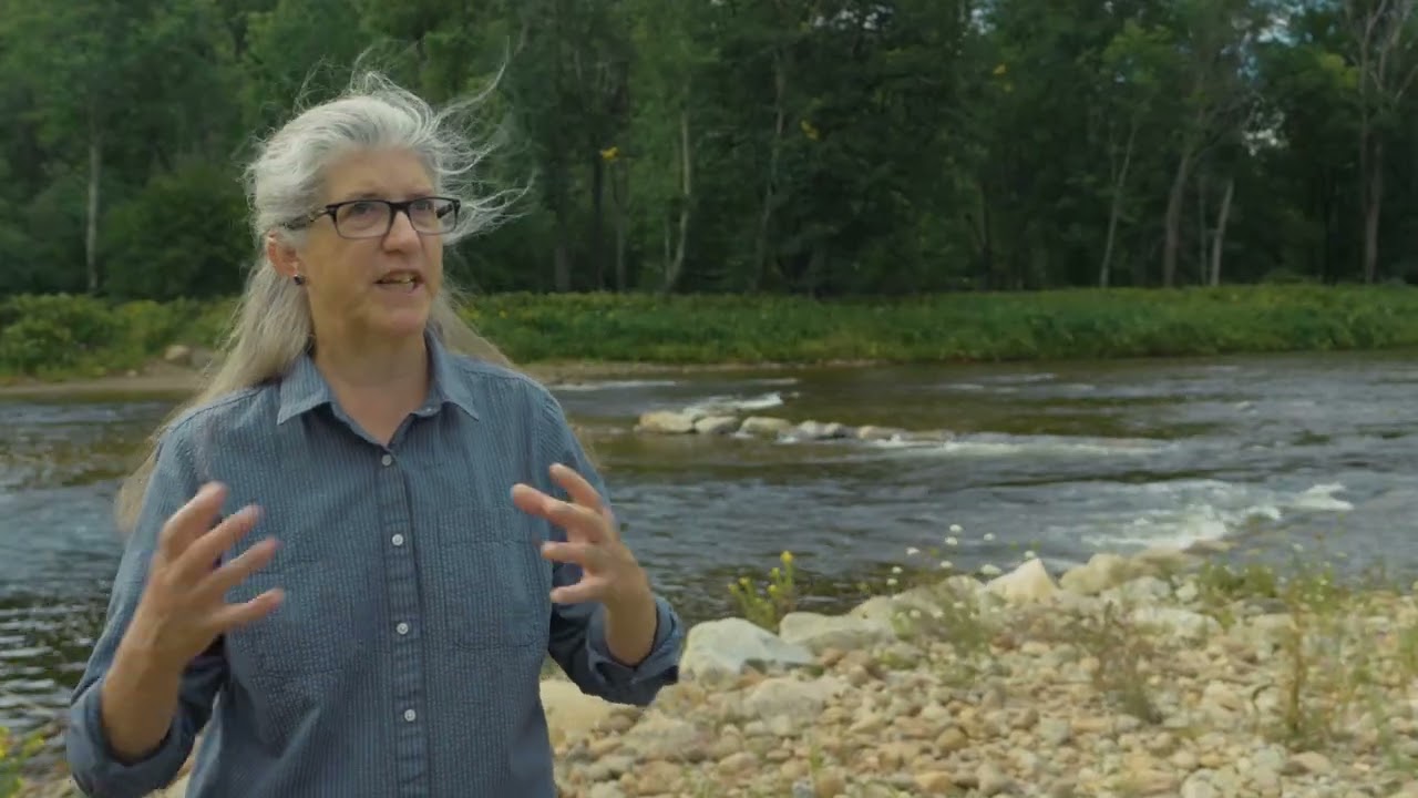 East Branch Ausable River Restoration Project