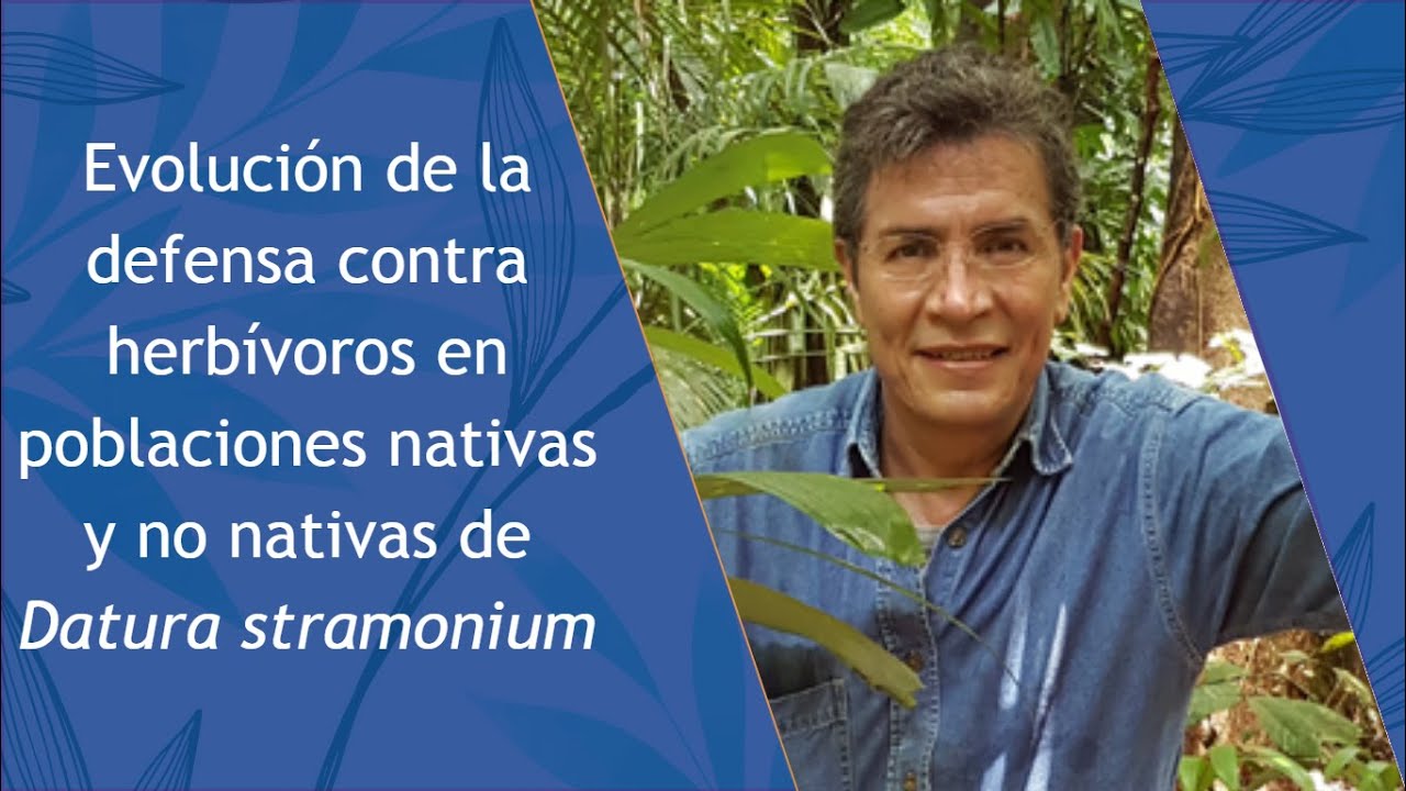 Evolución de la defensa contra herbívoros en poblaciones nativas y no nativas de Datura stramonium