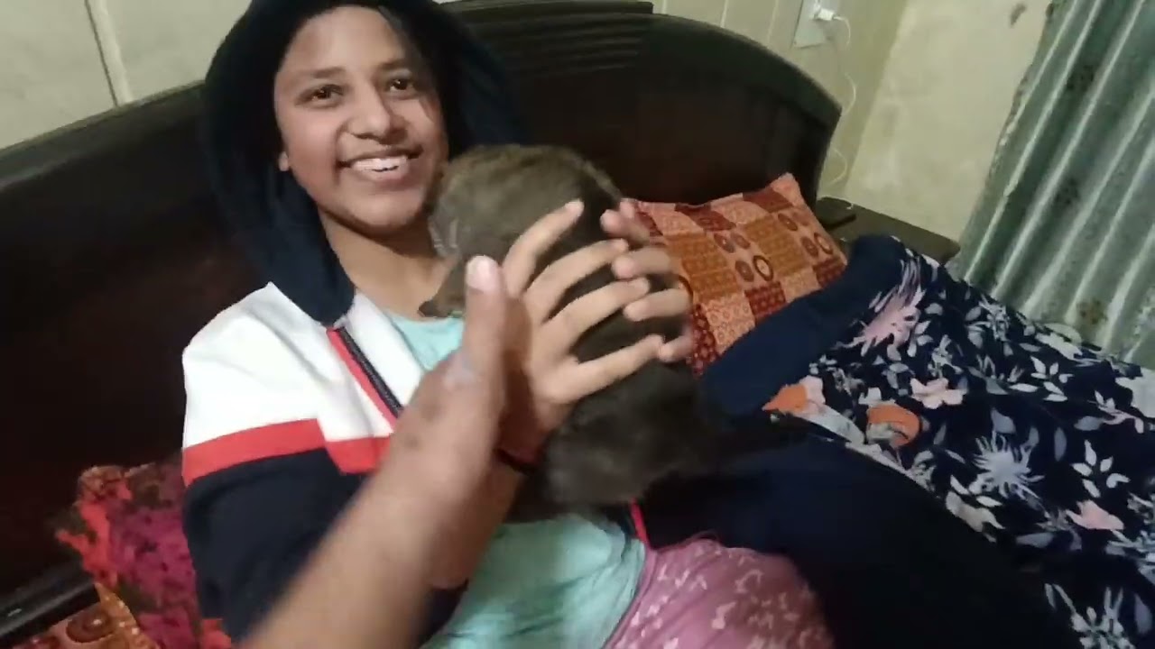 Pet surprise prank with family 