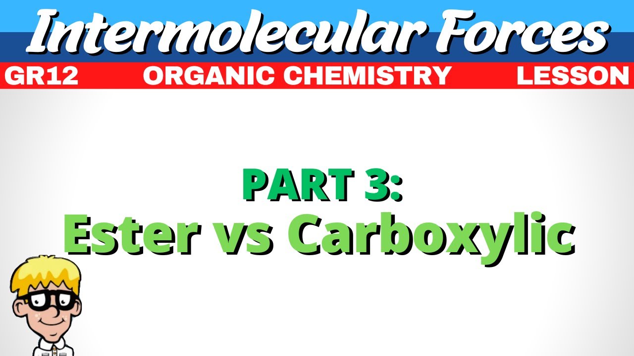 Intermolecular Forces Organic Chemistry Grade 12 | Ester  vs Carboxylic Acid