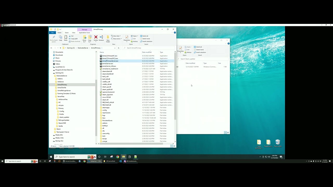 NQDY - Dedicated Server & HeadlessClient setup