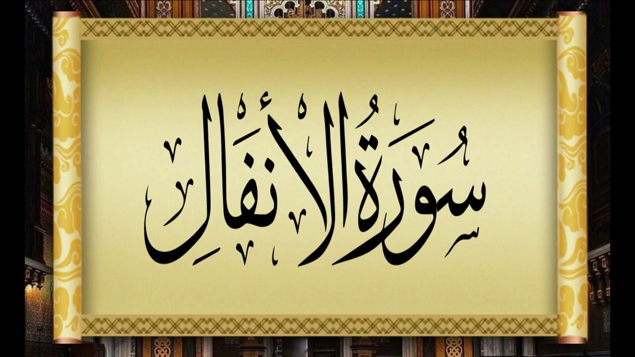 8  AL ANFAL   THE SPOILS OF WAR   سورة الأنفال بتلاوة القارئ التونسي محمد أيوب الركباوي