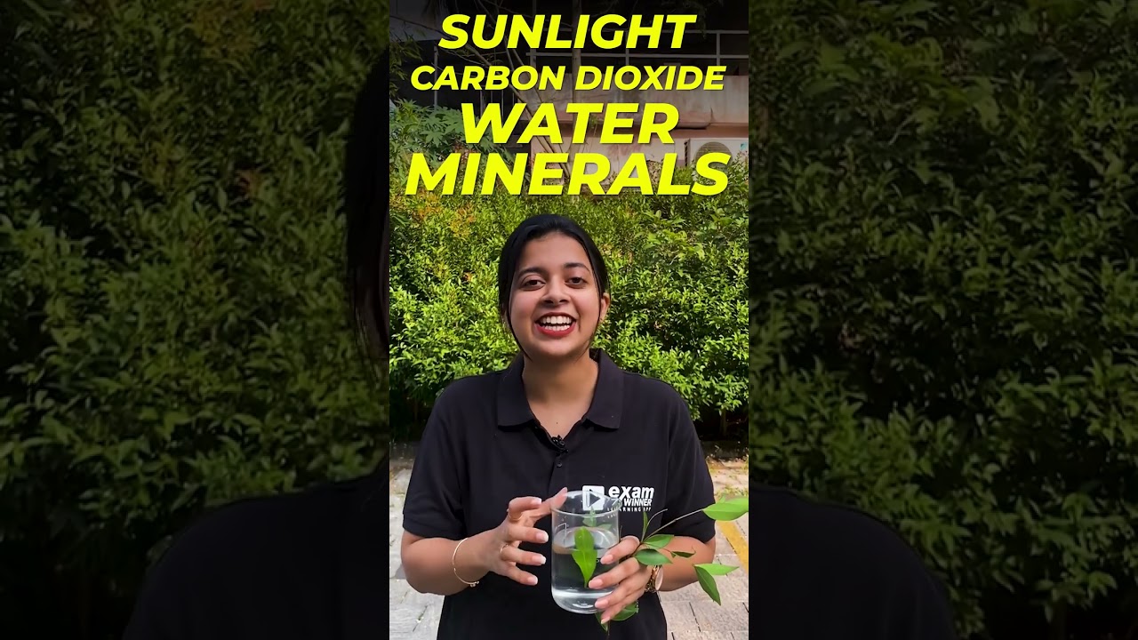 💯🌱🔥OXYGENനെ ഒന്ന് കണ്ടാലോ??💯🌱🔥 #viralshorts #biology #photosynthesis #oxygen #examwinner