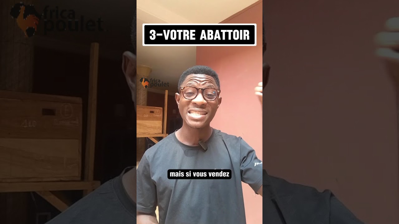 LES 3 CHOSES pour réellement GAGNER DE L'ARGENT DANS LE POULET LOCAL