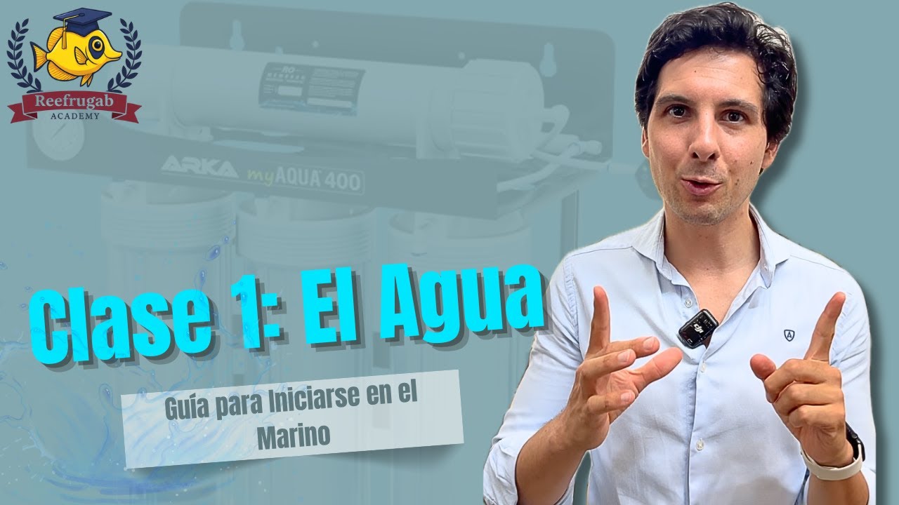 Reefrugab Academy: El Agua Ideal Para Mi Acuario Marino