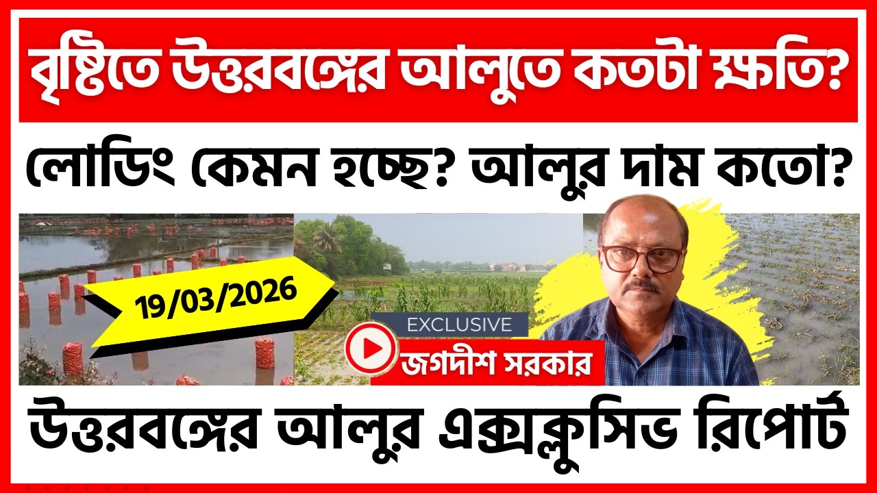 19/03/2026 : ধূপগুড়ির আজকের নতুন আলুর দাম | উত্তরবঙ্গের আলু নিয়ে এক্সক্লুসিভ জগদীশ সরকার