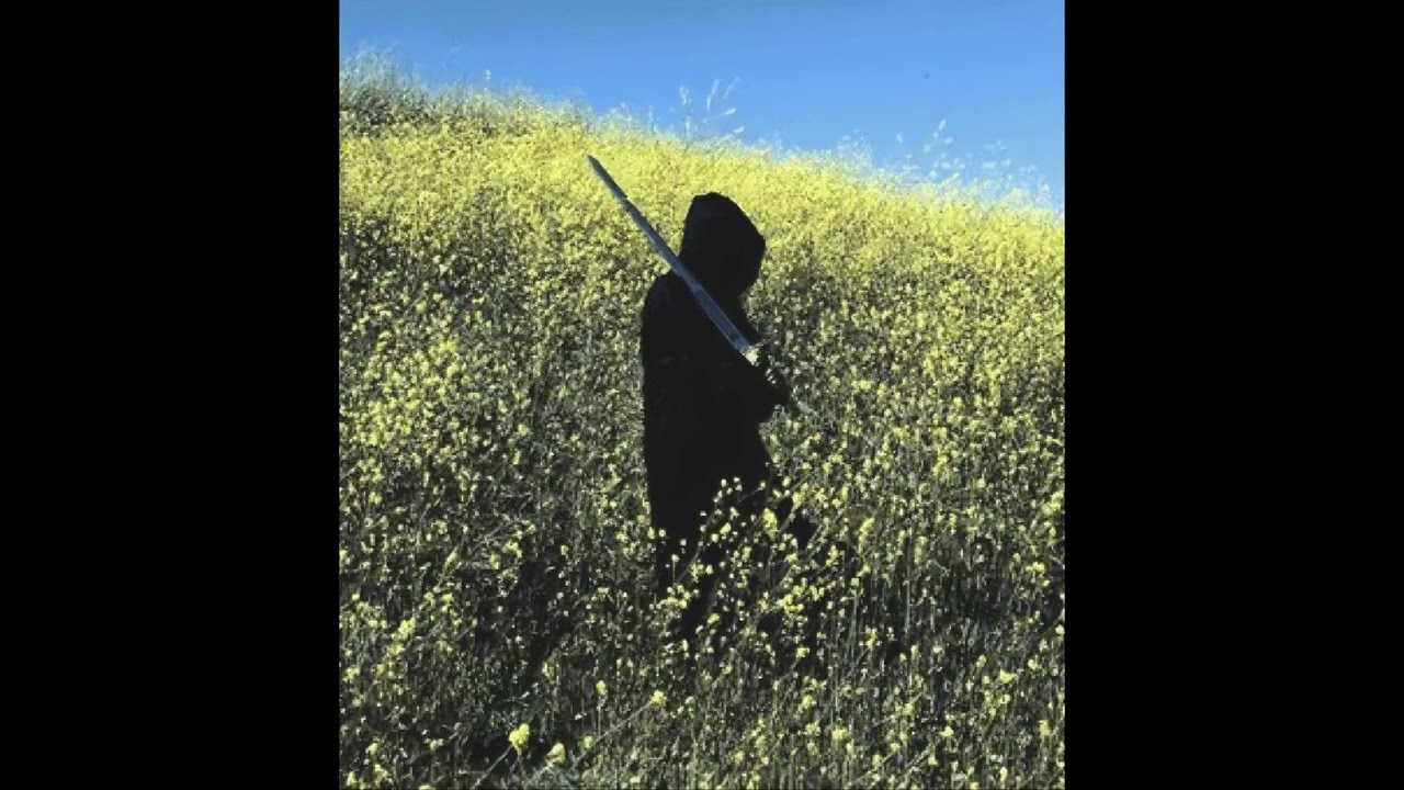 [FREE] EARL SWEATSHIRT TYPE BEAT "FIELD"