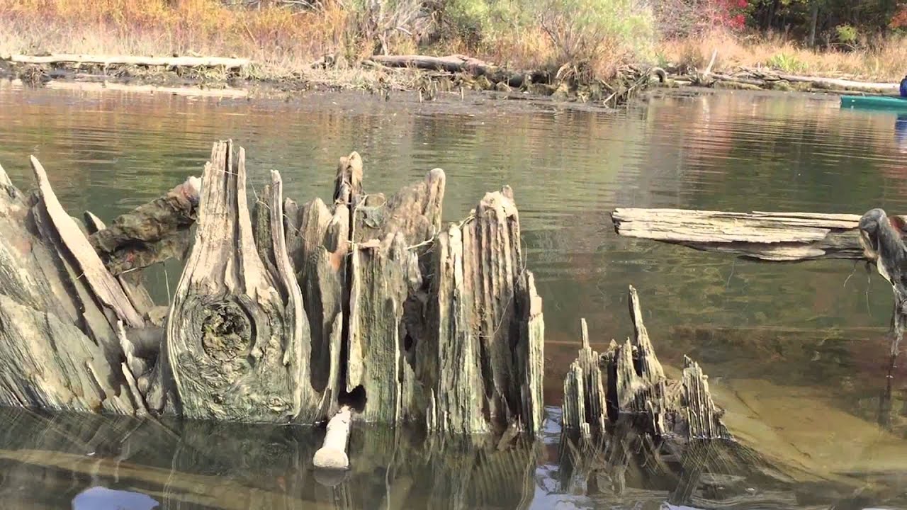 Historic Sunken 'Ghost Fleet' Lurks In Maryland's Mallows Bay