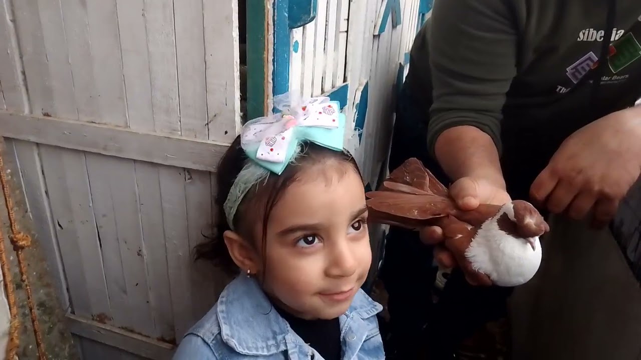 هتشة الغاوي و البلكونه