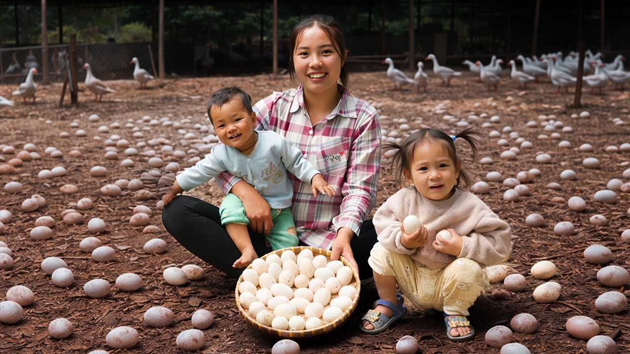 Harvesting Duck Eggs On The River To Sell At The Market – Taking Care Of My Children 🥚