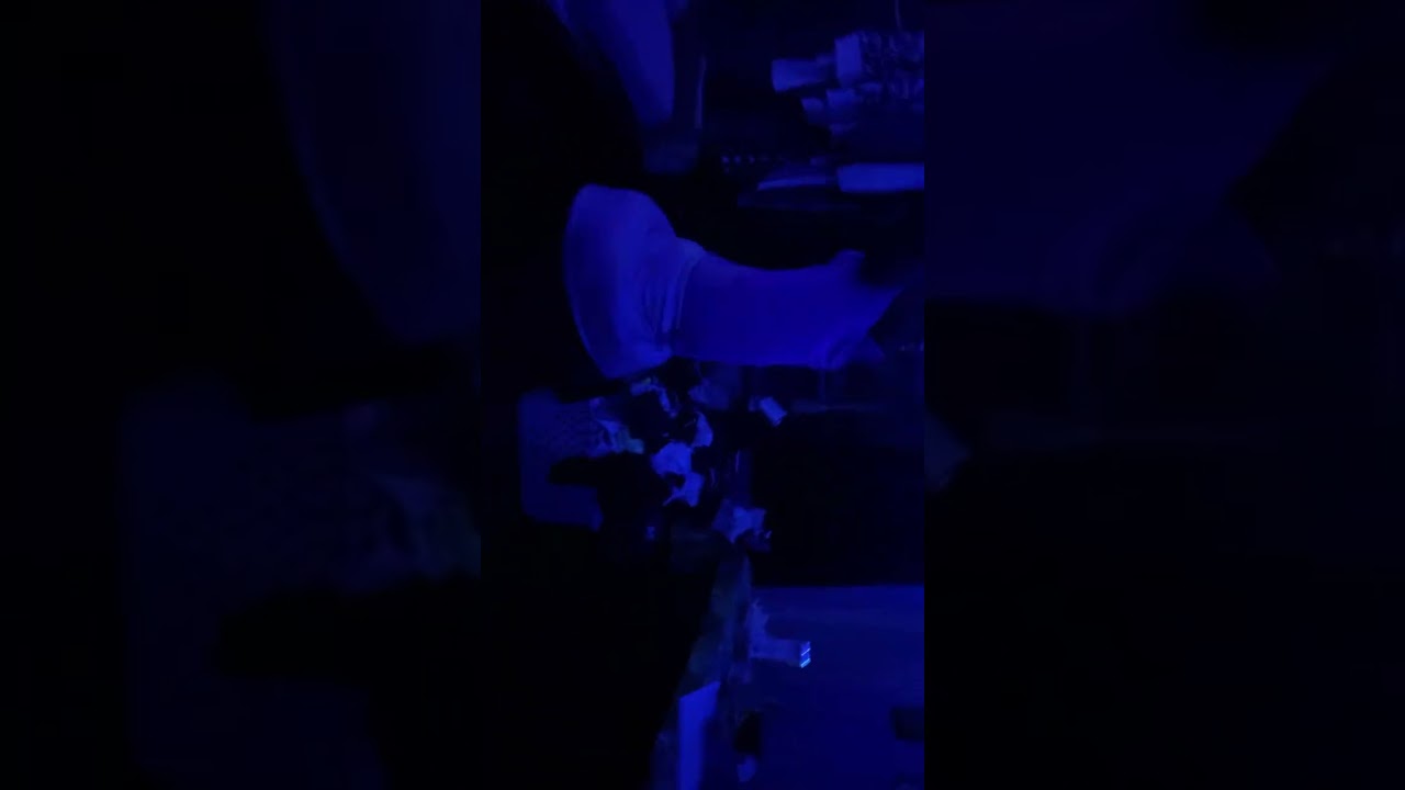 You have to flip over your phone to see it better