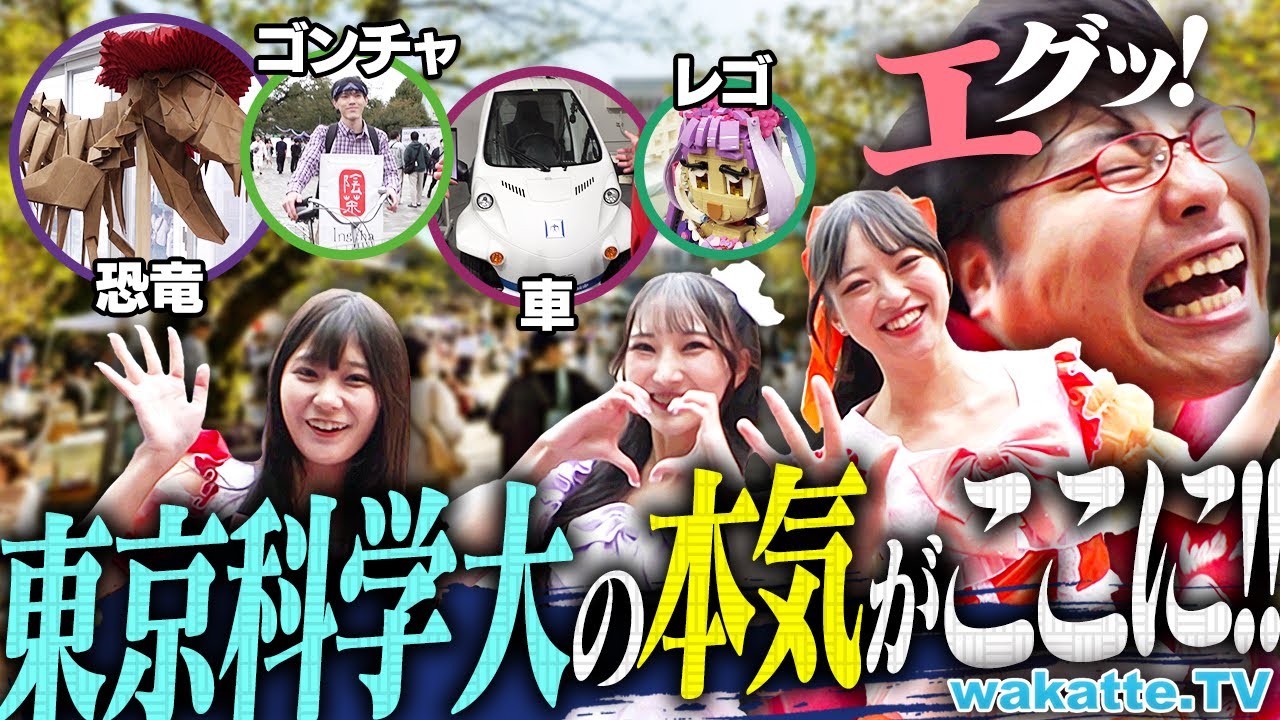 【理系最強の祭典】折り紙・レゴ・車まで！？東京科学大のガチすぎる学祭が異次元すぎた！【wakatte TV】#1338