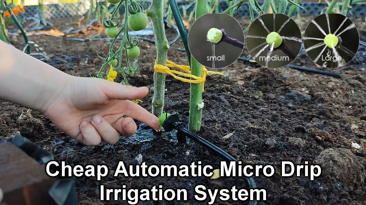 Install a Automatic Micro Drip Irrigation System For Raised Bed Garden / Automatic Watering System