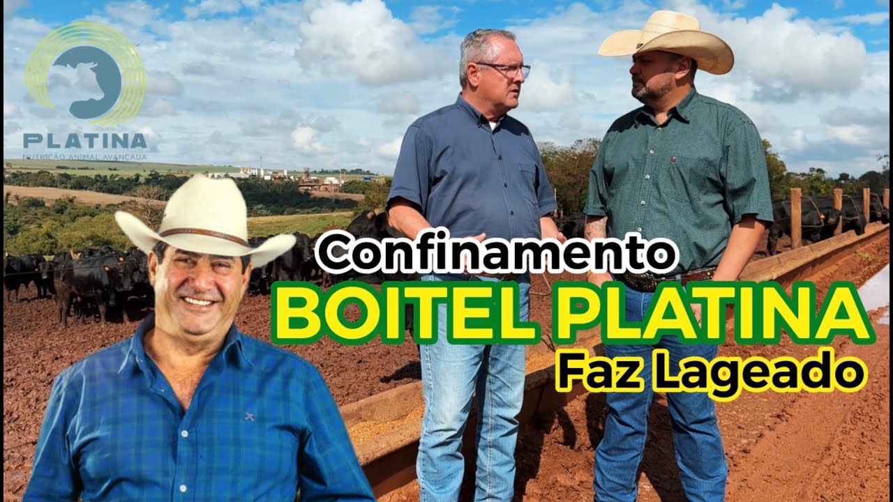 Confinamento (Boitel) Faz Lageado