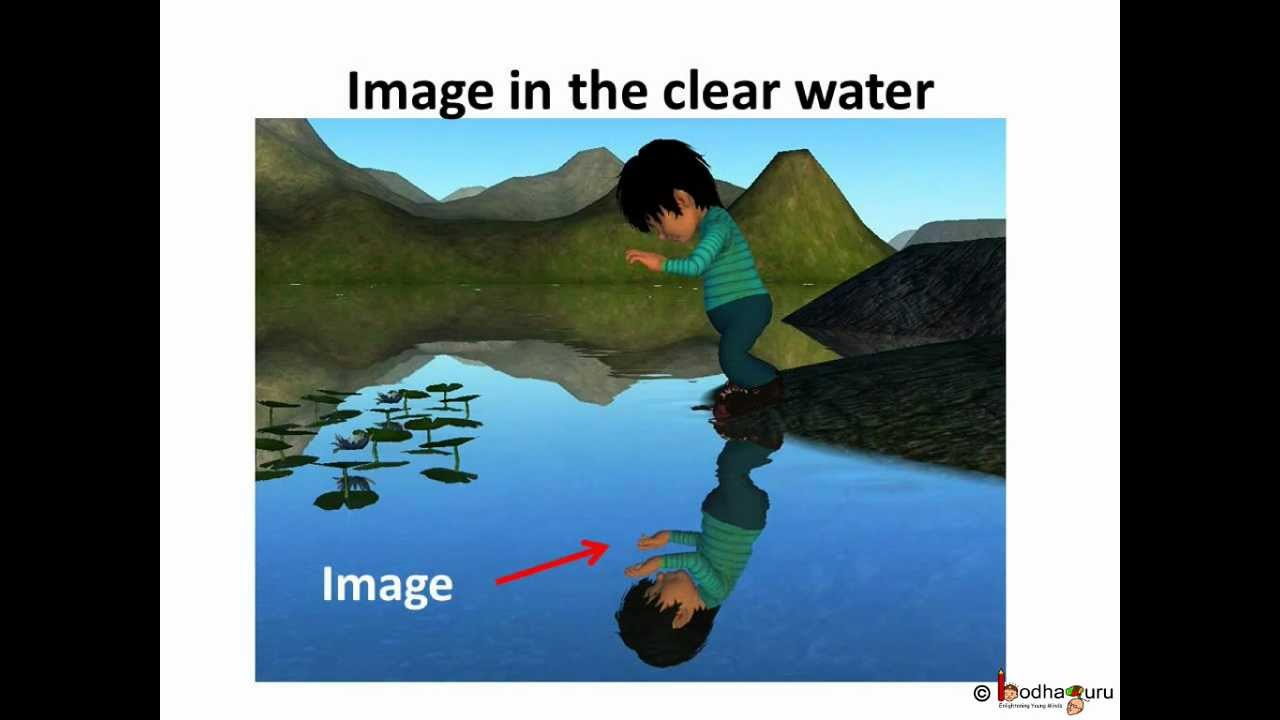 Science - Light - Reflection - English