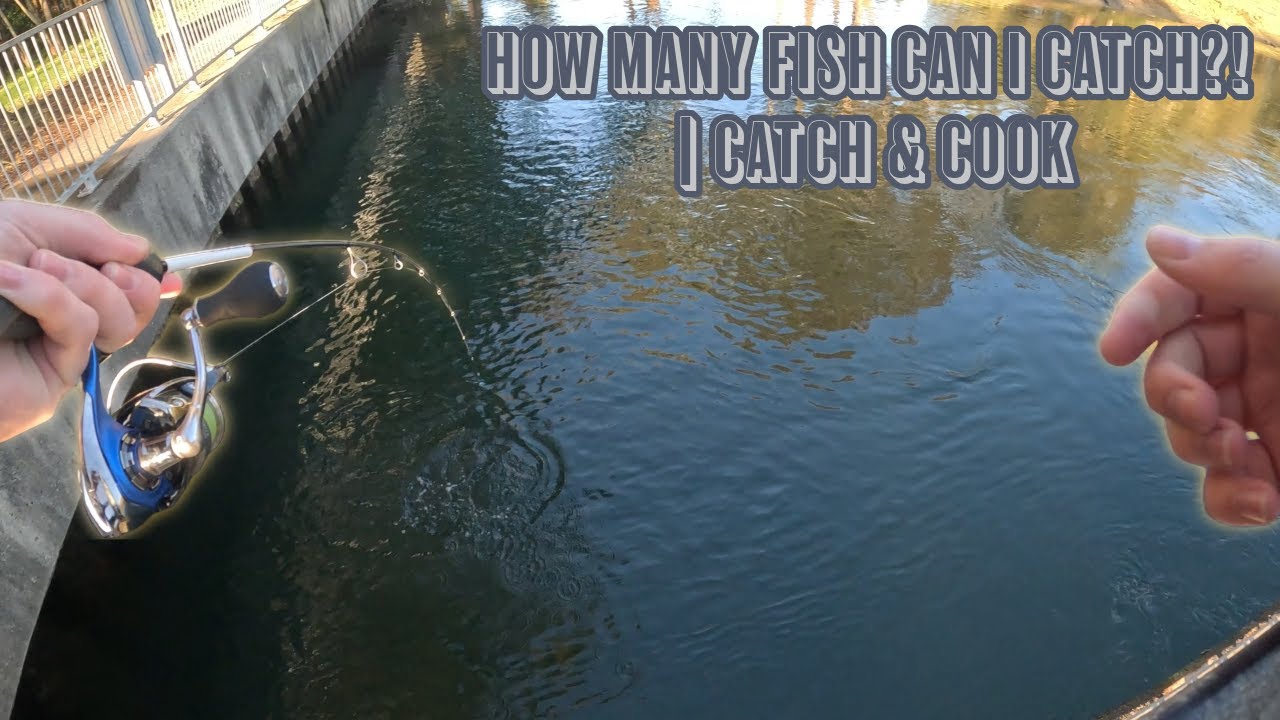 How MANY FISH Can I CATCH?! | Catch & Cook