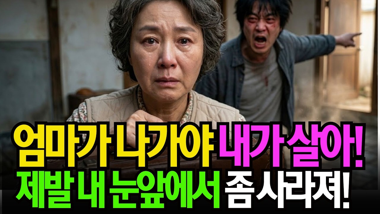 평생 바친 아들에게 내쫓긴 엄마... 그녀가 낡은 가방을 움켜쥔 진짜 이유